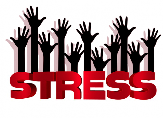 what are thr Causes of Stress