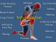 Picture of Inflammation